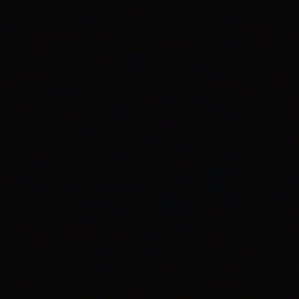 Аркадий Рой