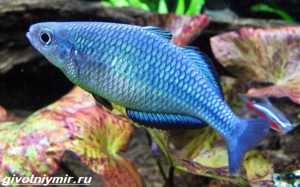 Екатерина Шахова