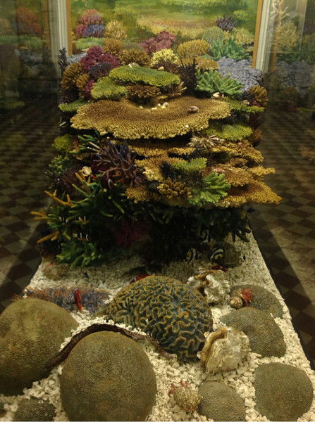 Дастангул Мураталиева