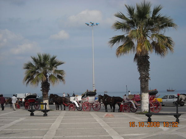 Марина Иванченко