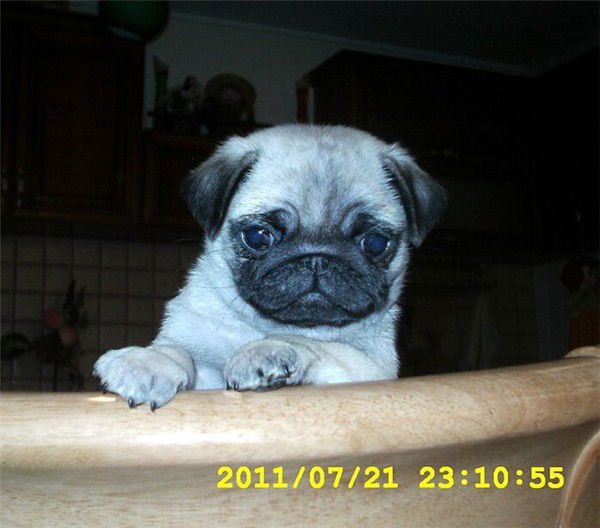 Вера Качанова