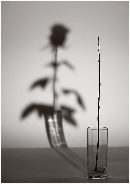 .{Хули}Ганка.