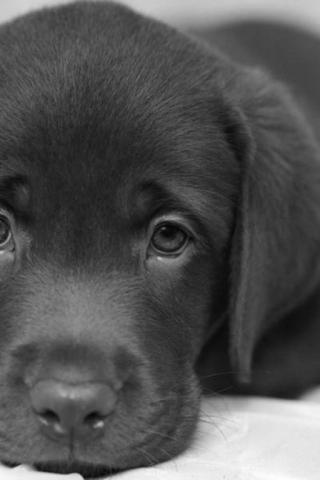 Ришат Мухаметзянов