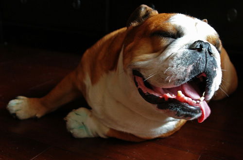 Аркадий Фадченко