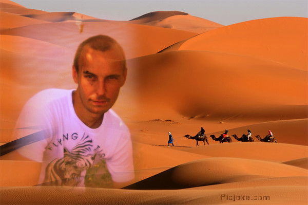 Александр Комелин