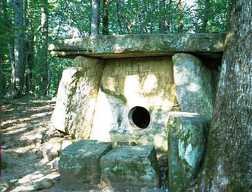 Александр Зуев