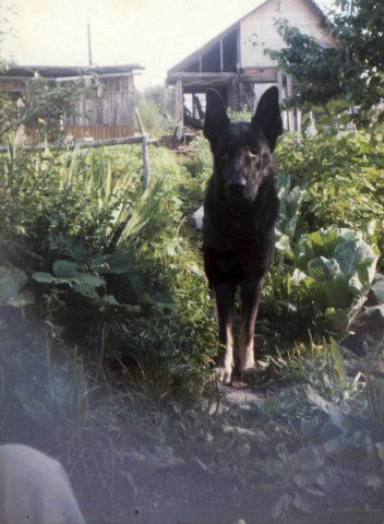 Сергей Хромчиков