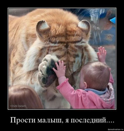 Талгат Киясов