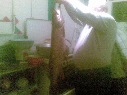 Сергей Новик