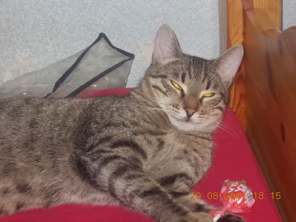 Альбина Кинзина