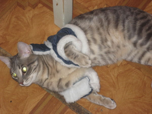 Сергей Соломатников