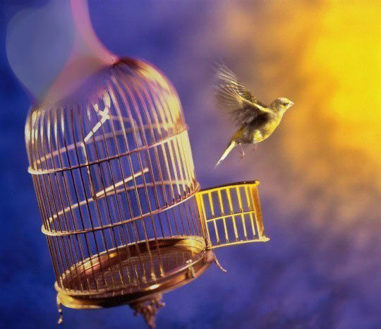 Илина Хабибрахманова