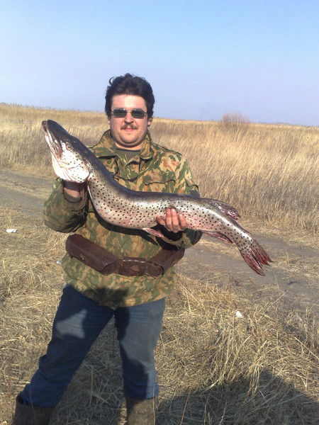 Святослав Арищенко