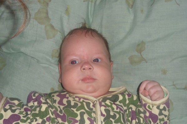 Александр Танков