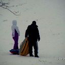 Cao. Surgut