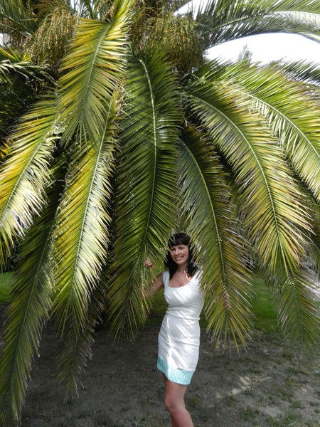 Лариса Путинцева