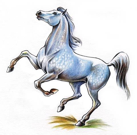 Марат Шаншаров