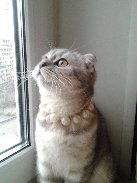 Елена Алисова