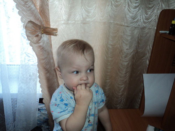 Светлана Лапина