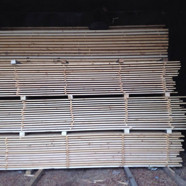 Елена Иванова