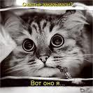 Ника Никитина