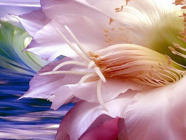 Зиля Гамерова