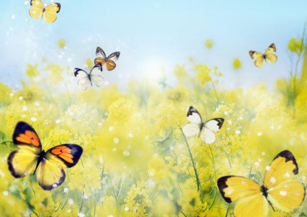 @@кристина@@ ***