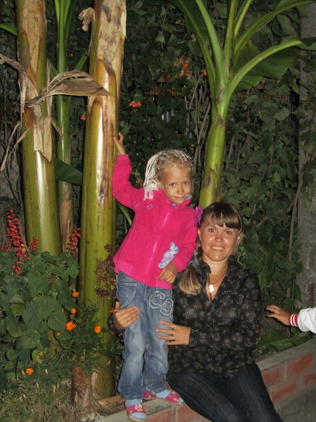 Макс-60 Макс