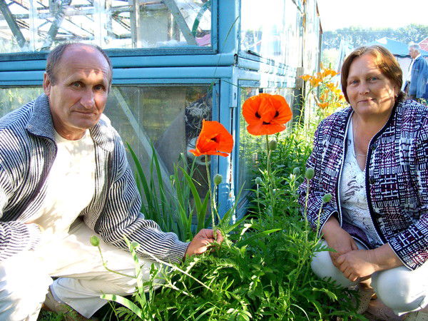 Владимир Владимир