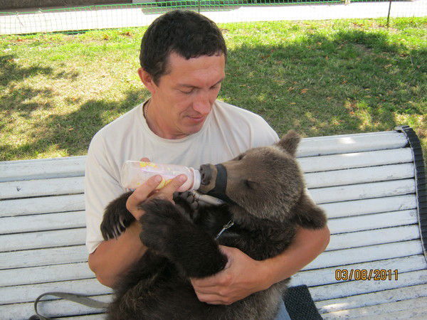 Николай Шибанов