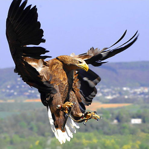 Мадина Раймбаева