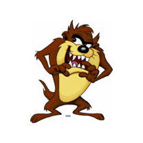 Рома Согрин