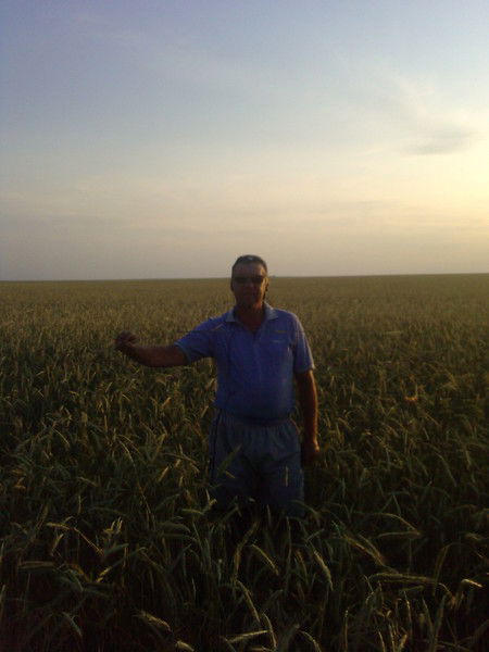 Сергей Паливода