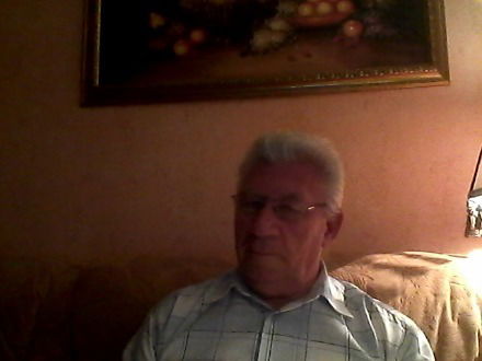 Domino ))))))))((((((((