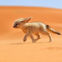 Юлия Мирзокулова