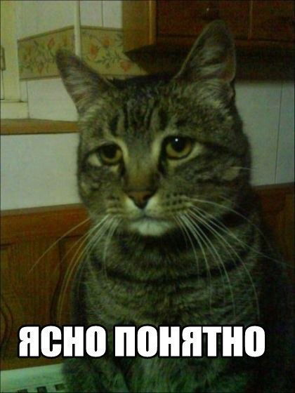 Кристина Запорожец