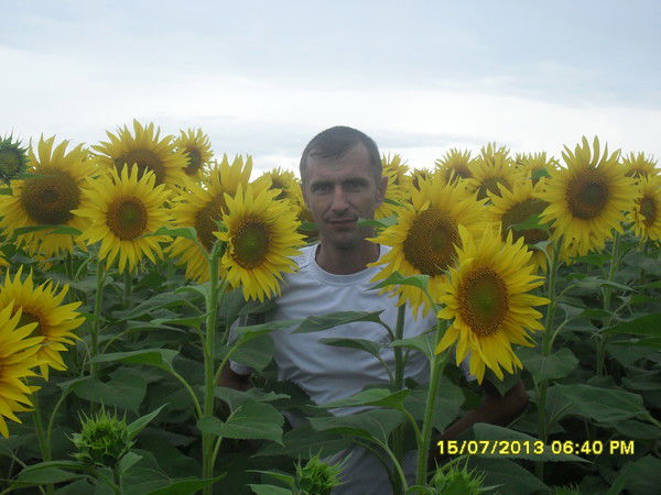 Александр Торгов