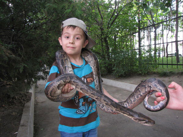 Даниил Горбунов