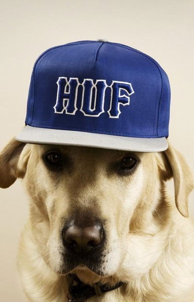 Саша Мостяева