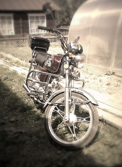 Дима Чадромцев