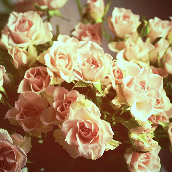 Татьяна Хорькова