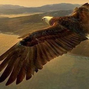 Общий Отдел Зкгму