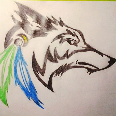 Александра Волк