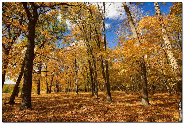 Оксана Чернова