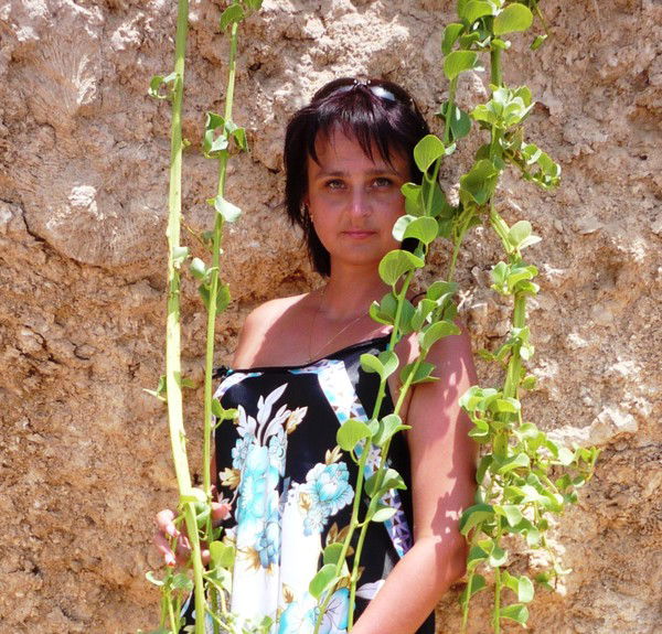 Загадка Загадка