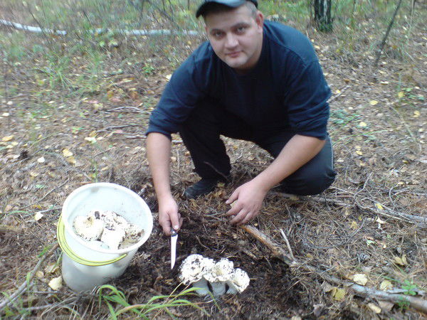 Стас Поляков