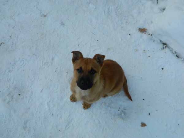 Наталья Акимова