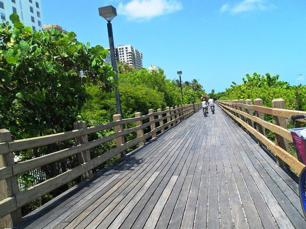 Ирина Чепурина