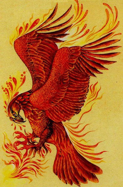 Роман Салахутдинов