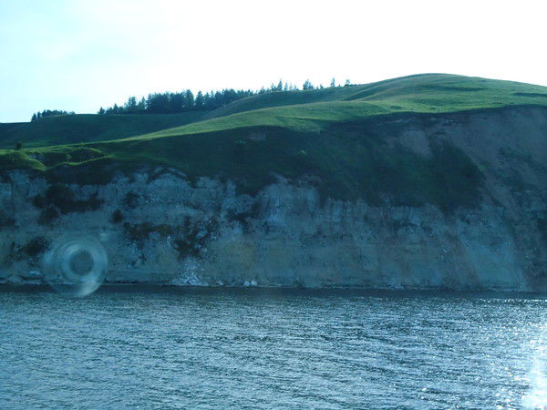 Татьяна Зевакова